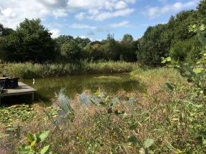 Genieten van de natuur in de achterhoek